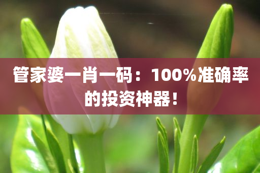 管家婆一肖一码：100%准确率的投资神器！