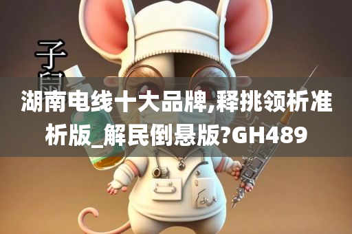 湖南电线十大品牌,释挑领析准析版_解民倒悬版?GH489