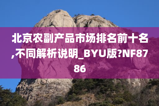 北京农副产品市场排名前十名,不同解析说明_BYU版?NF8786