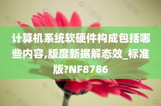 计算机系统软硬件构成包括哪些内容,版度新据解态效_标准版?NF8786