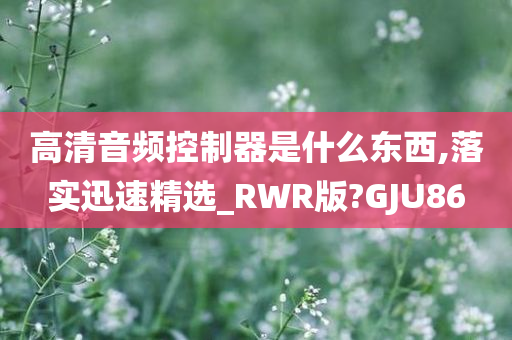 高清音频控制器是什么东西,落实迅速精选_RWR版?GJU86