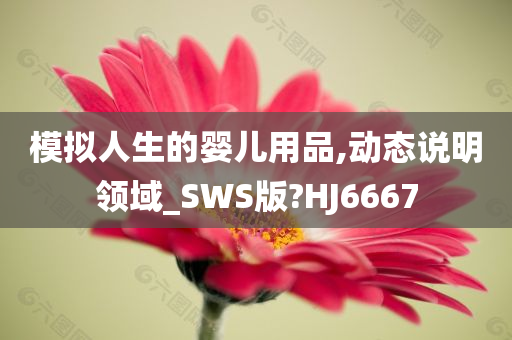 模拟人生的婴儿用品,动态说明领域_SWS版?HJ6667