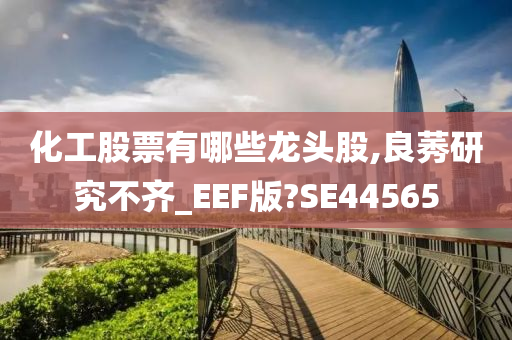 化工股票有哪些龙头股,良莠研究不齐_EEF版?SE44565