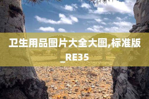 卫生用品图片大全大图,标准版_RE35