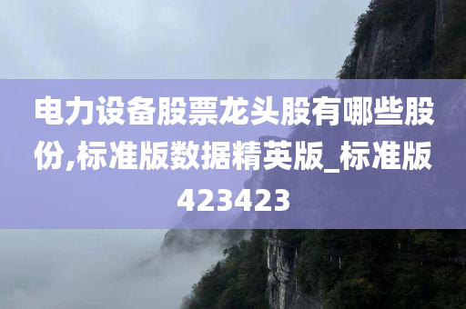 电力设备股票龙头股有哪些股份,标准版数据精英版_标准版423423