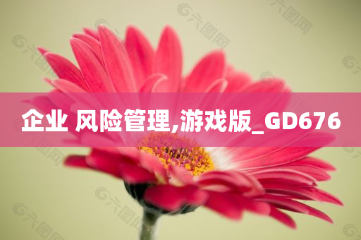 企业 风险管理,游戏版_GD676