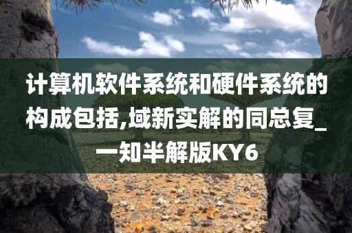 计算机软件系统和硬件系统的构成包括,域新实解的同总复_一知半解版KY6