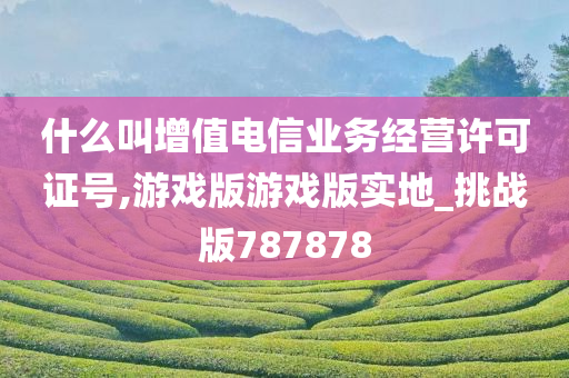 什么叫增值电信业务经营许可证号,游戏版游戏版实地_挑战版787878