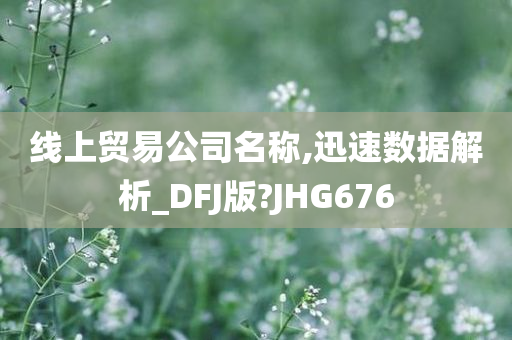 线上贸易公司名称,迅速数据解析_DFJ版?JHG676