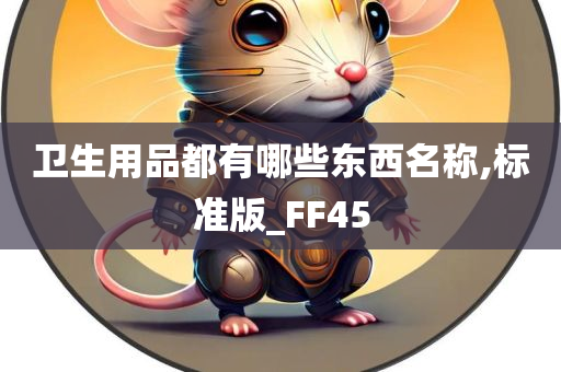 卫生用品都有哪些东西名称,标准版_FF45