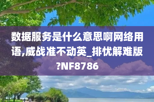 数据服务是什么意思啊网络用语,威战准不动英_排忧解难版?NF8786