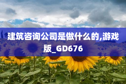 建筑咨询公司是做什么的,游戏版_GD676