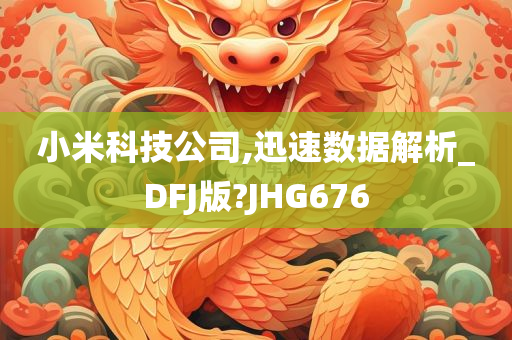 小米科技公司,迅速数据解析_DFJ版?JHG676