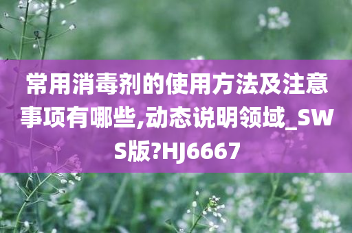 常用消毒剂的使用方法及注意事项有哪些,动态说明领域_SWS版?HJ6667