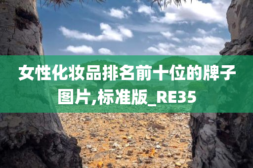 女性化妆品排名前十位的牌子图片,标准版_RE35