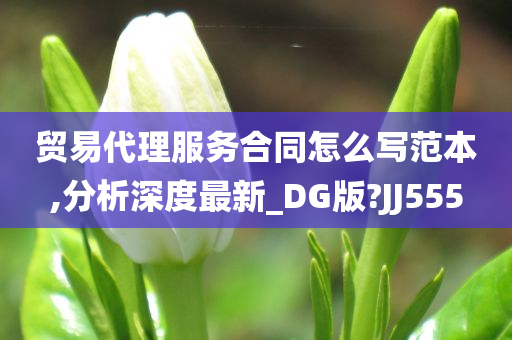 贸易代理服务合同怎么写范本,分析深度最新_DG版?JJ555