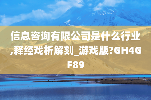 信息咨询有限公司是什么行业,释经戏析解刻_游戏版?GH4GF89