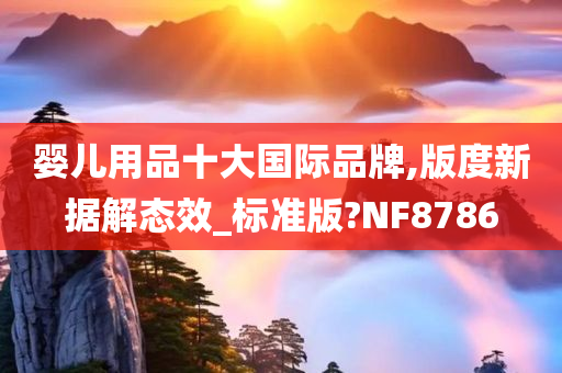 婴儿用品十大国际品牌,版度新据解态效_标准版?NF8786