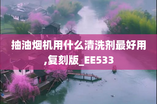 抽油烟机用什么清洗剂最好用,复刻版_EE533