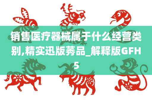 销售医疗器械属于什么经营类别,精实迅版莠品_解释版GFH5