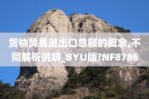 货物贸易进出口总额的概念,不同解析说明_BYU版?NF8786