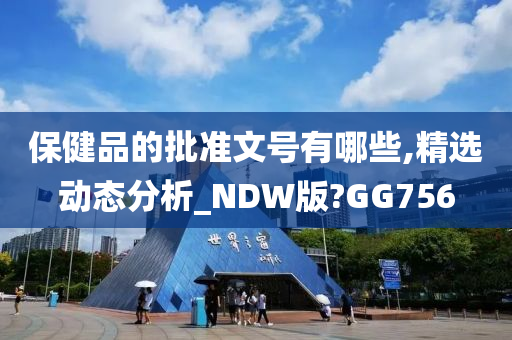 保健品的批准文号有哪些,精选动态分析_NDW版?GG756