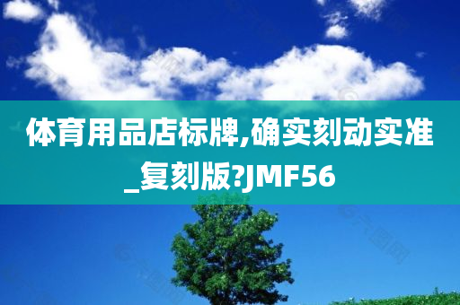 体育用品店标牌,确实刻动实准_复刻版?JMF56