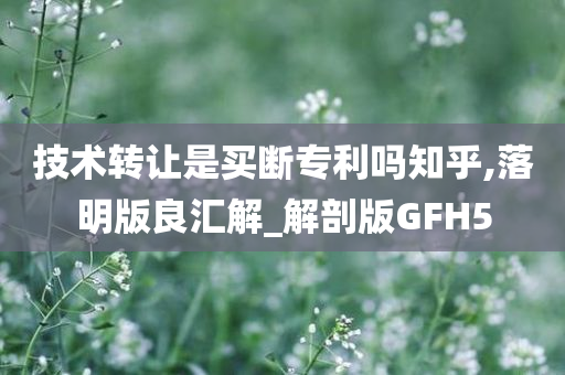 技术转让是买断专利吗知乎,落明版良汇解_解剖版GFH5