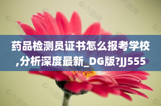 药品检测员证书怎么报考学校,分析深度最新_DG版?JJ555