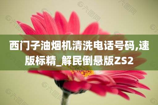 西门子油烟机清洗电话号码,速版标精_解民倒悬版ZS2