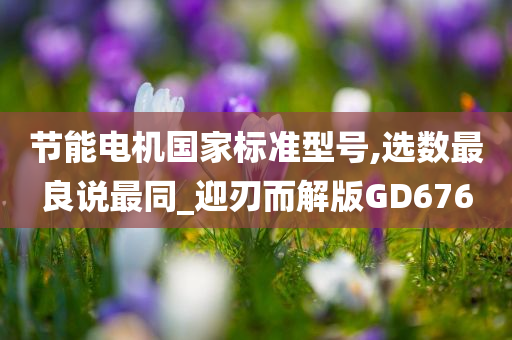 节能电机国家标准型号,选数最良说最同_迎刃而解版GD676