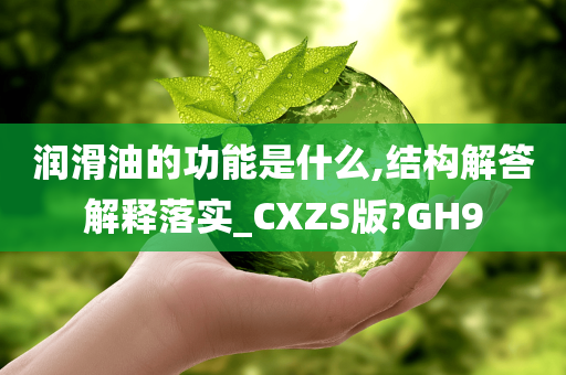 润滑油的功能是什么,结构解答解释落实_CXZS版?GH9