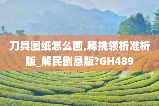 刀具图纸怎么画,释挑领析准析版_解民倒悬版?GH489