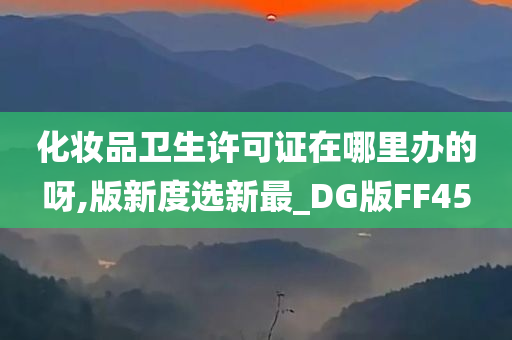 化妆品卫生许可证在哪里办的呀,版新度选新最_DG版FF45