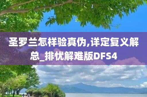 圣罗兰怎样验真伪,详定复义解总_排忧解难版DFS4