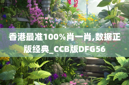 香港最准100%肖一肖,数据正版经典_CCB版DFG56