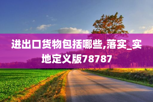 进出口货物包括哪些,落实_实地定义版78787