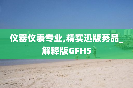 仪器仪表专业,精实迅版莠品_解释版GFH5