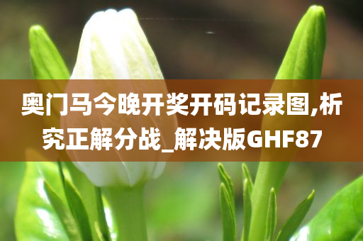 奥门马今晚开奖开码记录图,析究正解分战_解决版GHF87