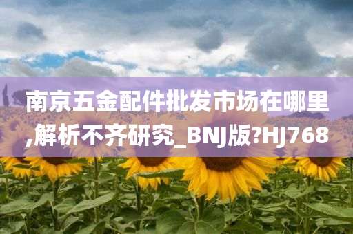 南京五金配件批发市场在哪里,解析不齐研究_BNJ版?HJ768