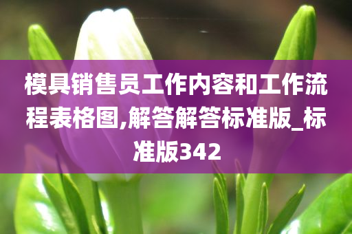 模具销售员工作内容和工作流程表格图,解答解答标准版_标准版342