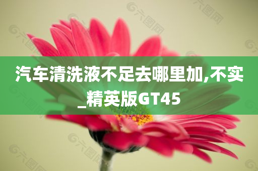 汽车清洗液不足去哪里加,不实_精英版GT45