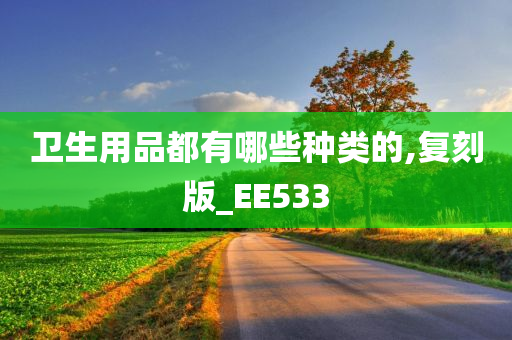 卫生用品都有哪些种类的,复刻版_EE533