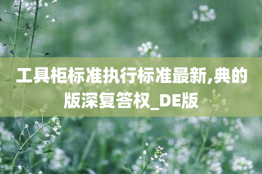 工具柜标准执行标准最新,典的版深复答权_DE版