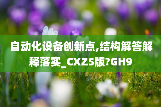 自动化设备创新点,结构解答解释落实_CXZS版?GH9