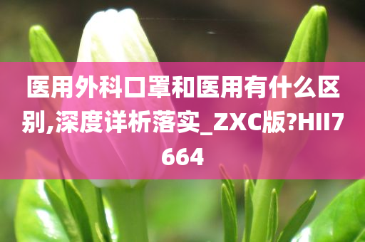 医用外科口罩和医用有什么区别,深度详析落实_ZXC版?HII7664