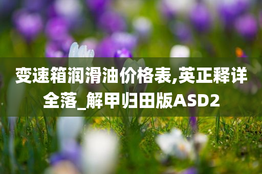 变速箱润滑油价格表,英正释详全落_解甲归田版ASD2