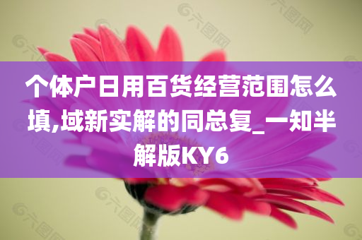 个体户日用百货经营范围怎么填,域新实解的同总复_一知半解版KY6