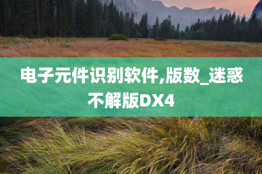 电子元件识别软件,版数_迷惑不解版DX4