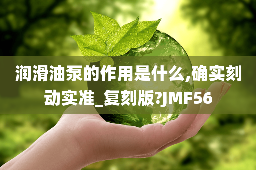 润滑油泵的作用是什么,确实刻动实准_复刻版?JMF56